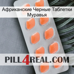 Африканские Черные Таблетки Муравья 26